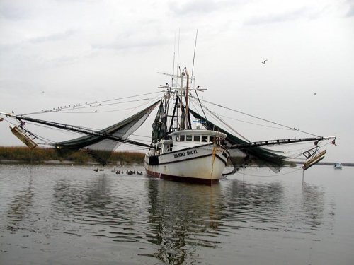P1080049
