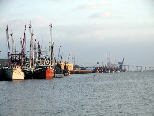P1100061