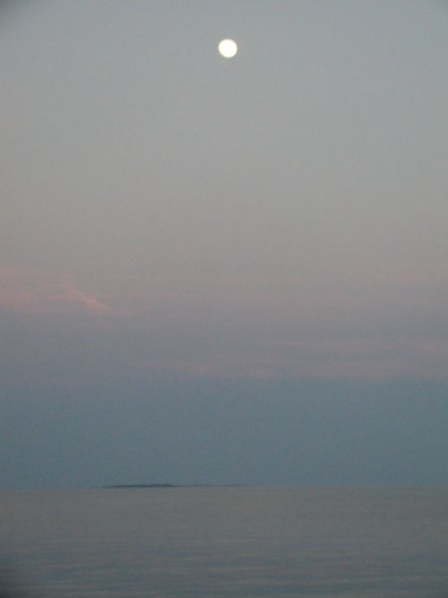 P6010003