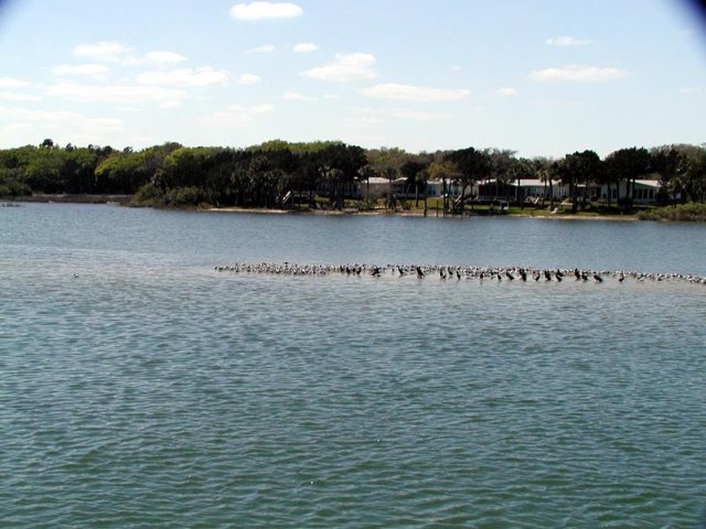 P3110004