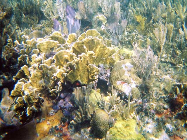 1239700_R2_004_0A