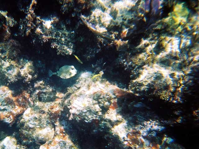 1239700_R2_044_20A