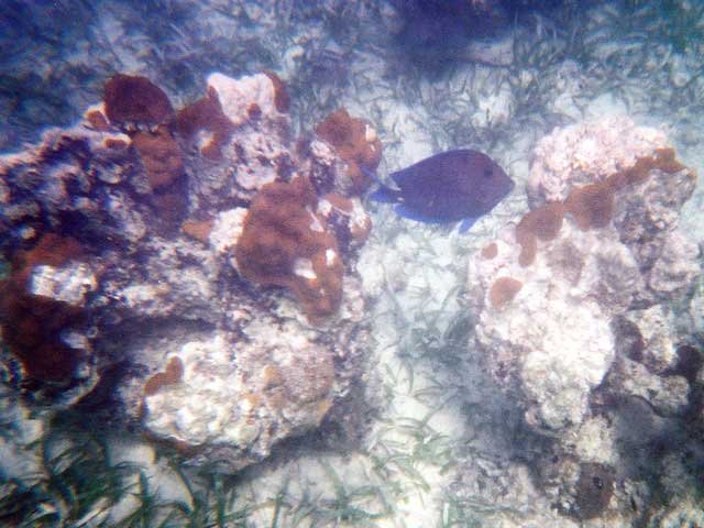 1239700_R1_010_3A
