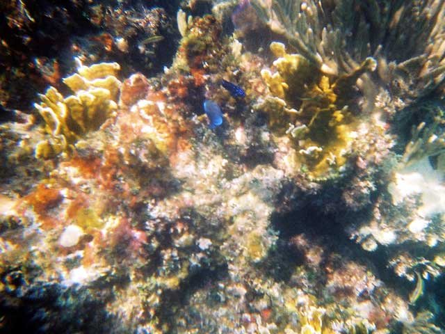 1239700_R2_018_7A