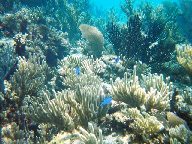 1239700_R2_052_24A
