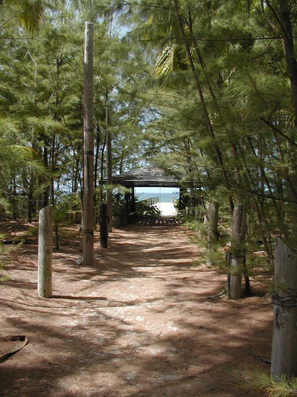 P5240028