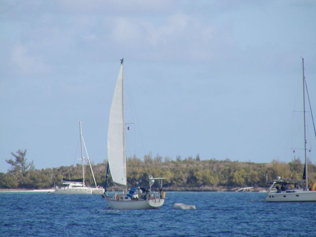 P5240016