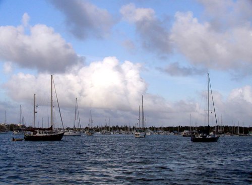P5010014