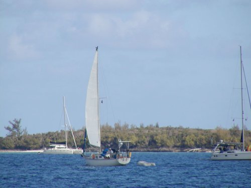 P5240016