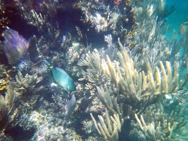 1239700_R2_016_6A