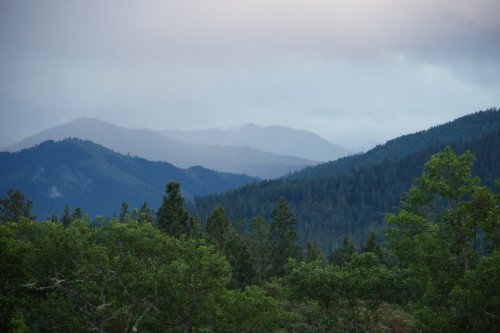 IMG_3123
