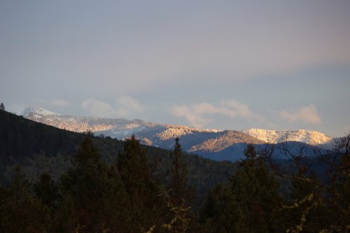 IMG_3049