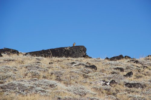 IMG_2390