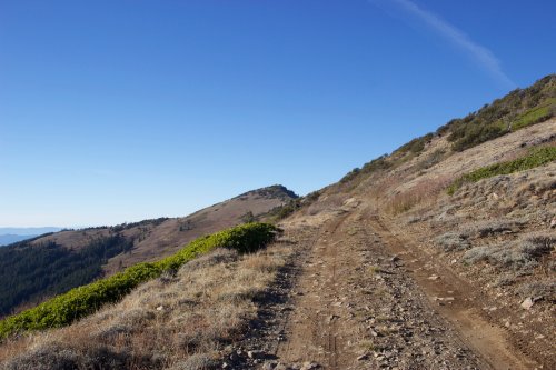 IMG_2392