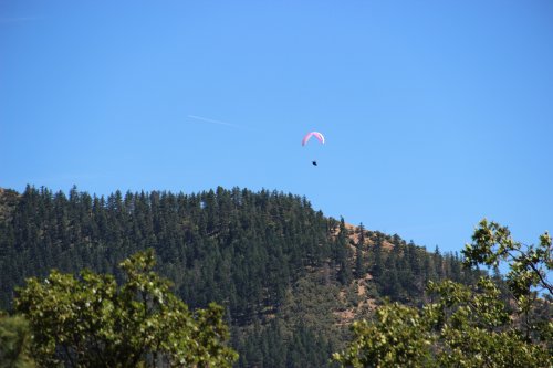 IMG_5631