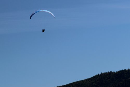 IMG_5686
