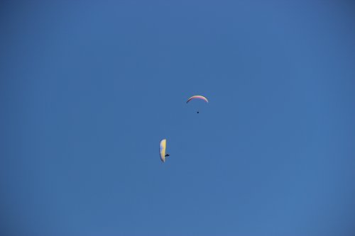 IMG_5647