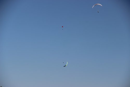 IMG_5736