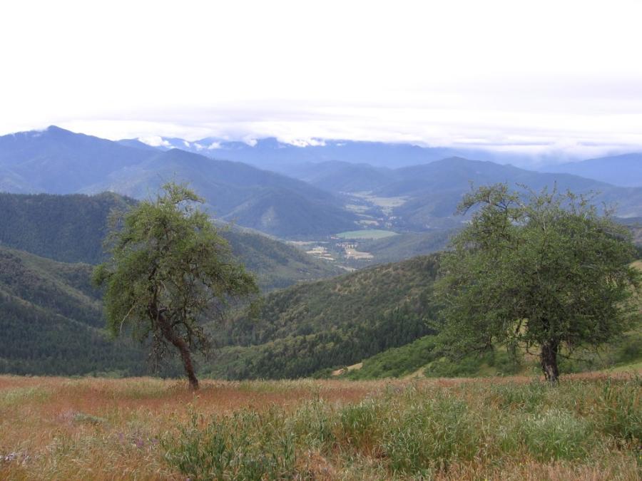 Wellington Butte