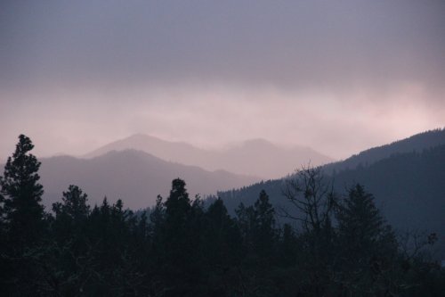 IMG_4232