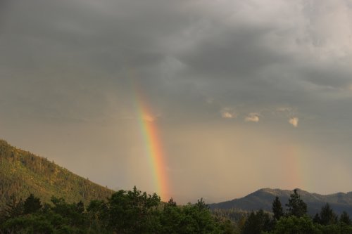 IMG_5475