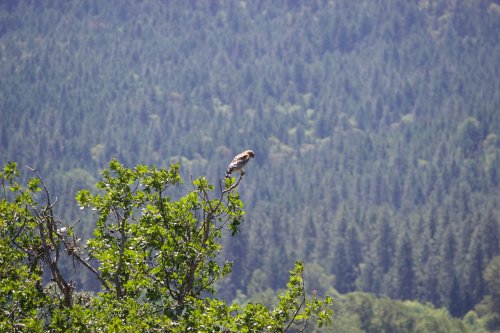 IMG_3155