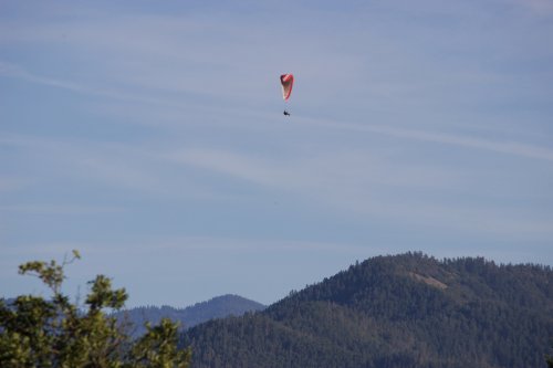 IMG_3148
