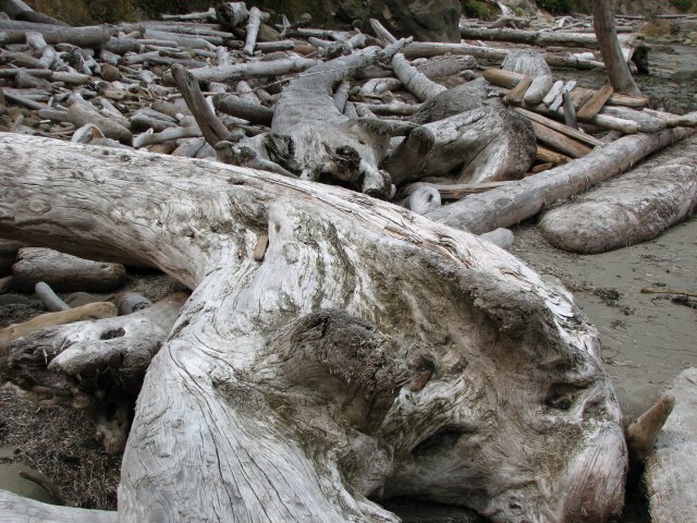 Wood