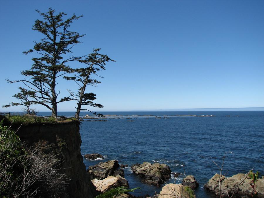 Cape Arago