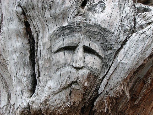 Detail
