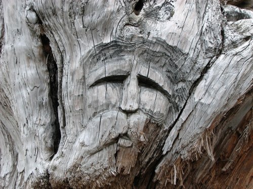Detail