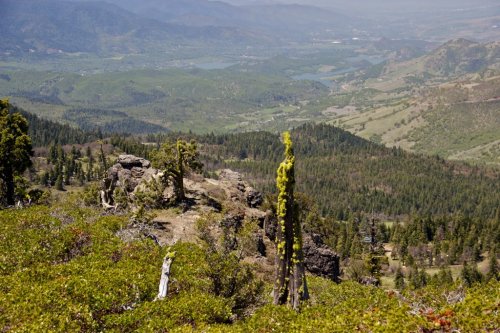 IMG_0414