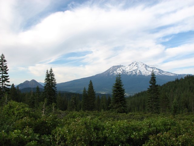 Shasta from the west