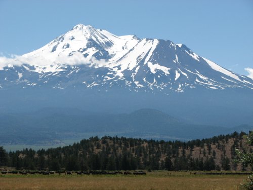 Mt. Shasta