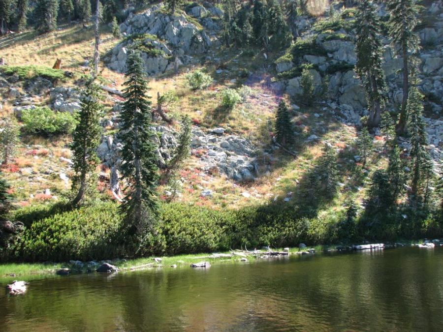 Oregon