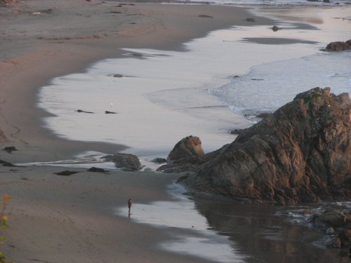 Harris Beach, Brookings OR