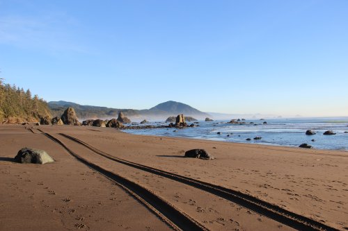IMG_4720