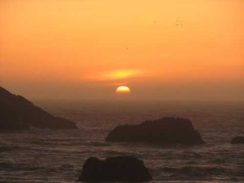 Harris Beach, Brookings OR