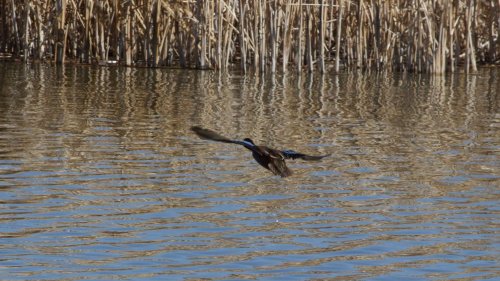 IMG_2960