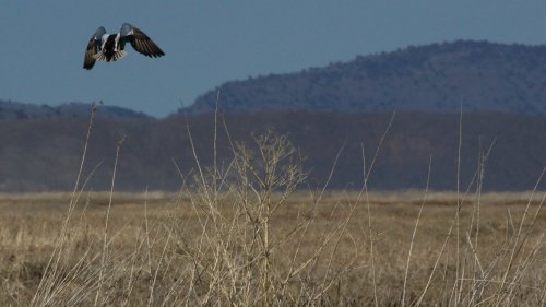 IMG_2783