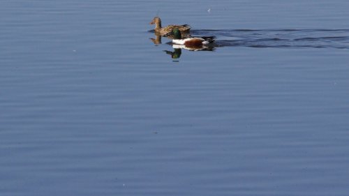 IMG_2714