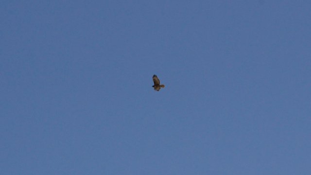 IMG_2819