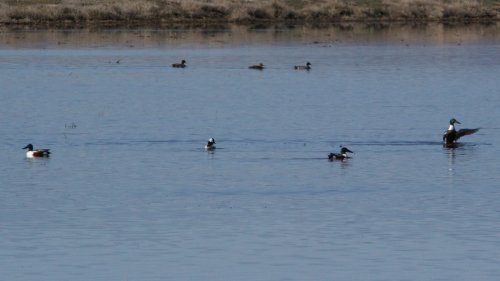 IMG_2654