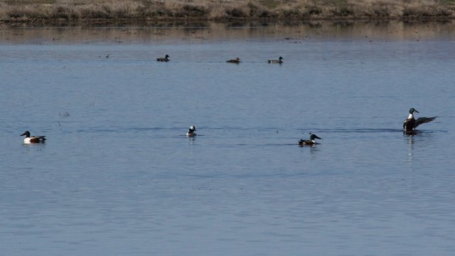 IMG_2654