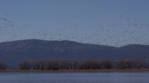IMG_2743