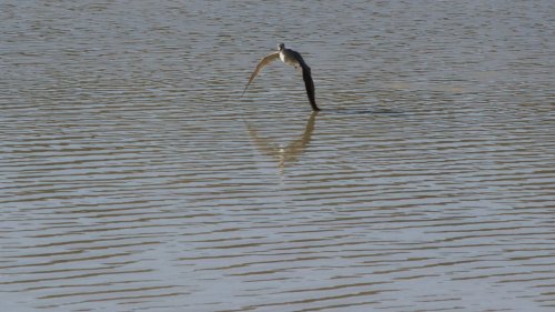 IMG_3025