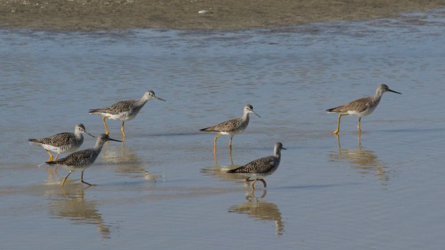 IMG_3030