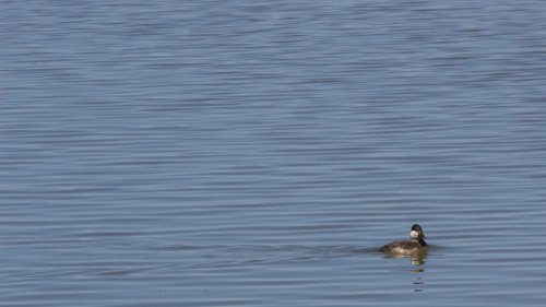 IMG_2873