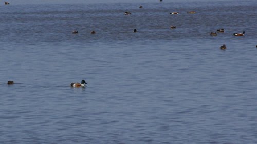 IMG_2876