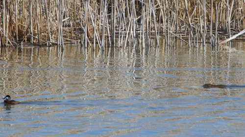 IMG_2966